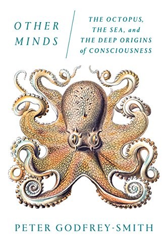 Cover of Other Minds