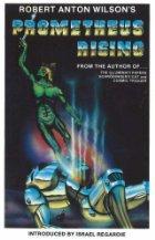Cover of Prometheus Rising