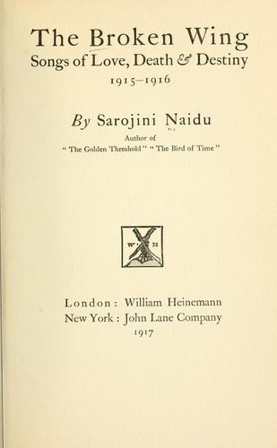 Cover of The broken wing