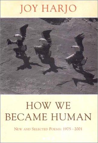 Cover of How we became human