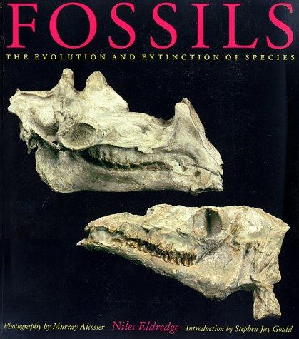 Cover of Fossils