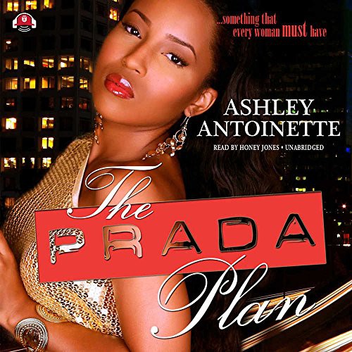 Cover of The prada plan
