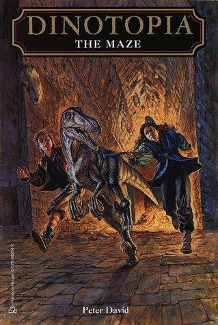 Cover of The maze