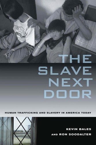 Cover of The slave next door