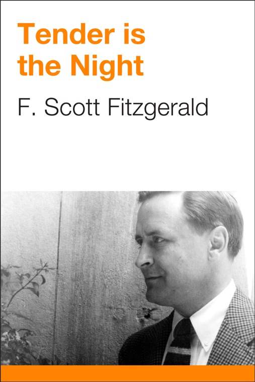 Cover of Tender is the Night