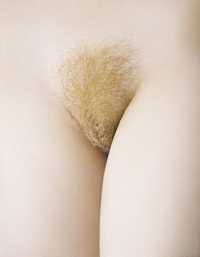 Cover of Twenty-five nudes