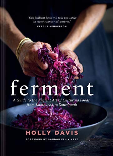 Cover of Ferment