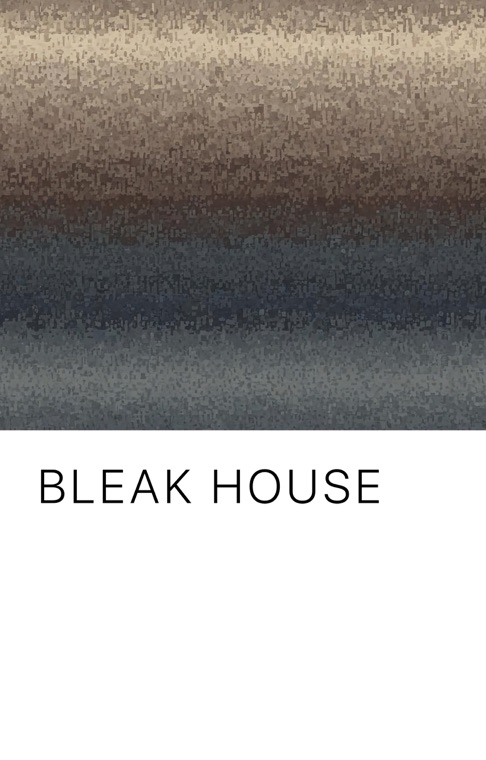 Cover of Bleak House