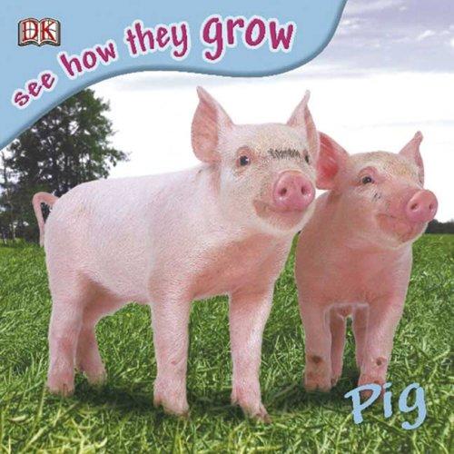 Cover of Pig