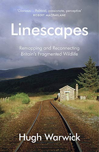 Cover of Linescapes