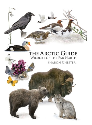 Cover of The Arctic Guide