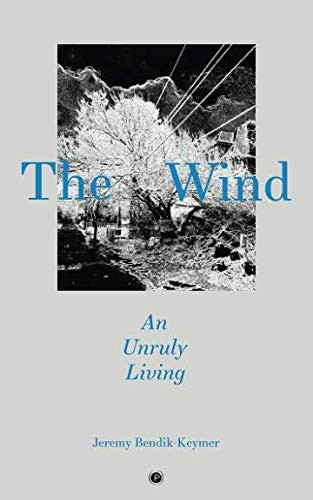 Cover of The Wind