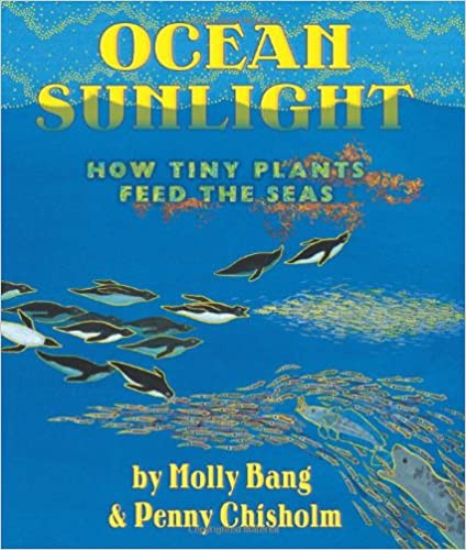 Cover of Ocean Sunlight