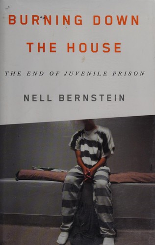 Cover of Burning down the house