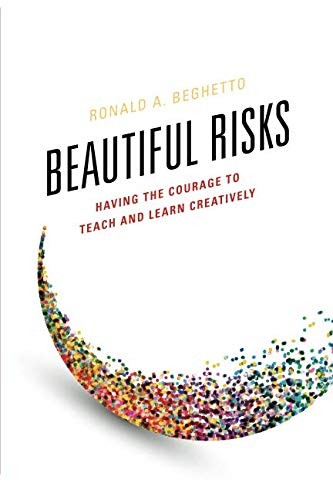 Cover of Beautiful Risks
