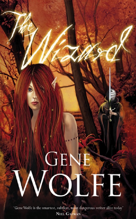 Cover of The Wizard