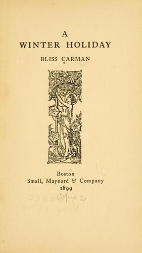 Cover of A winter holiday