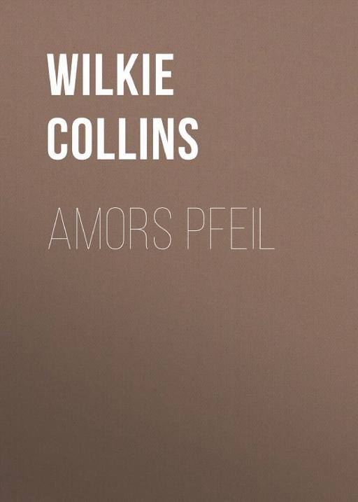 Cover of Amors Pfeil