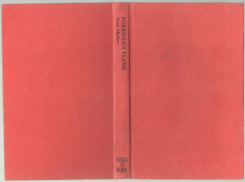 Cover of Forbidden Flame