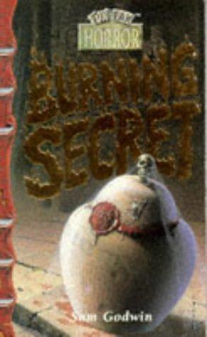 Cover of Burning Secret