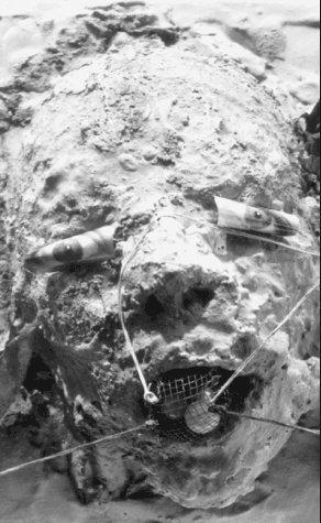 Cover of Metahorror